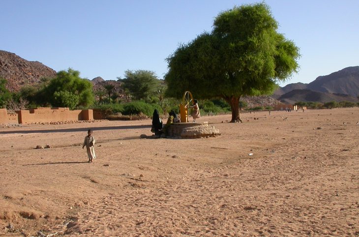 Commune de Timia / Installation d’un centre de formation agricole destiné aux jeunes