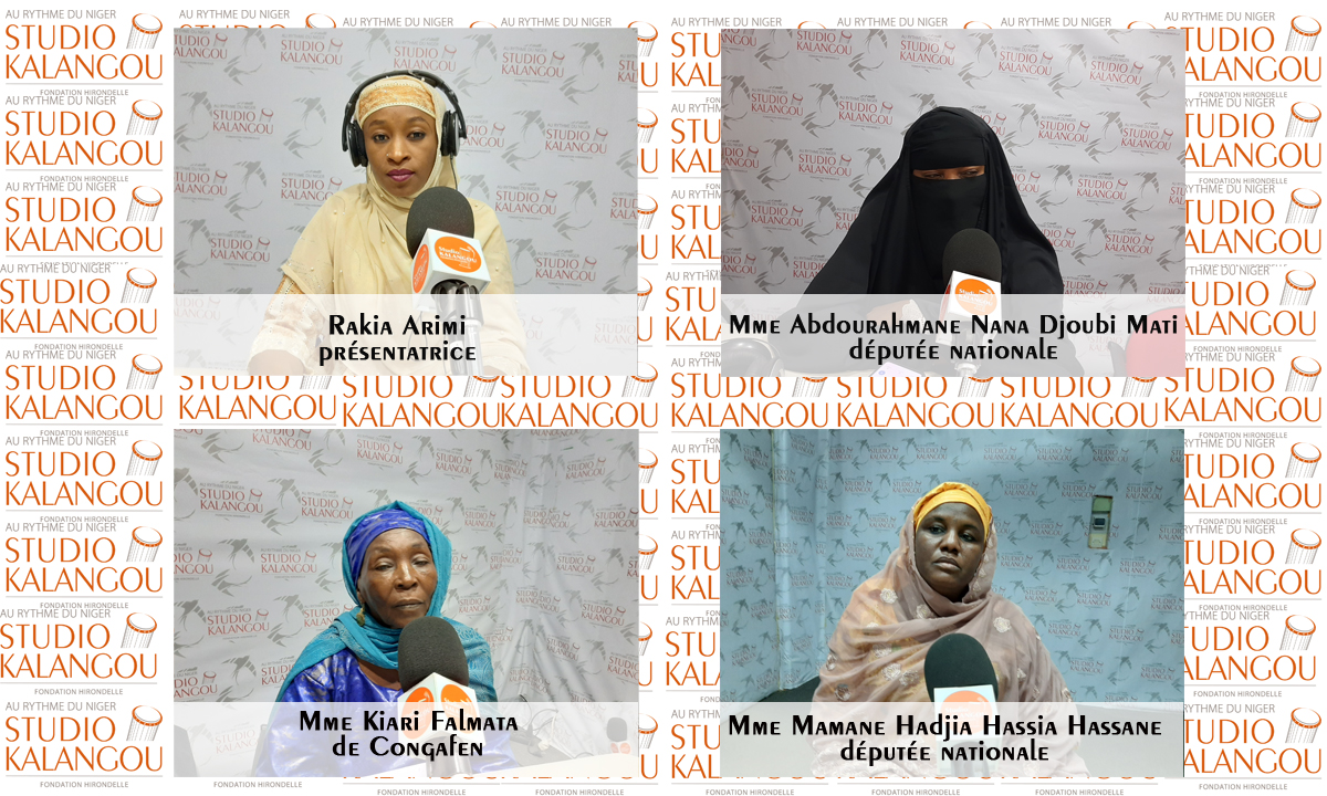 La contribution des femmes parlementaires dans la promotion des droits de la femme au Niger