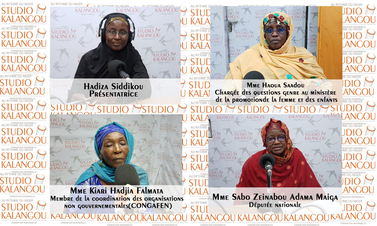 La contribution des femmes parlementaires dans la promotion des droits de la femme au Niger
