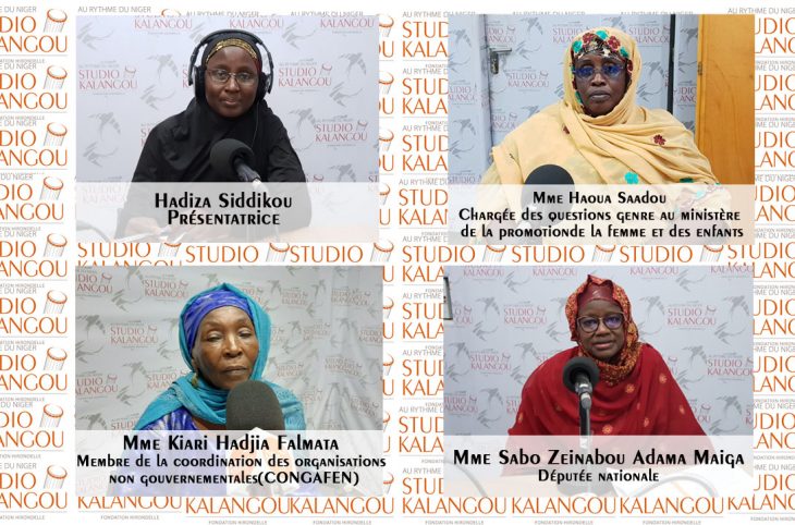 La contribution des femmes parlementaires dans la promotion des droits de la femme au Niger