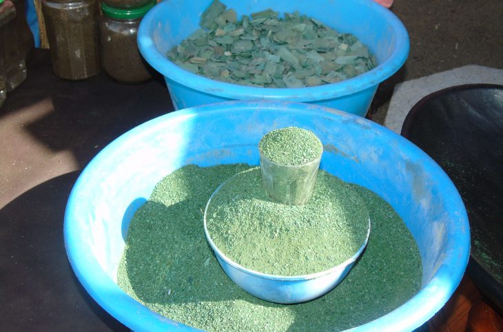 La culture de la spiruline à Dogondoutchi