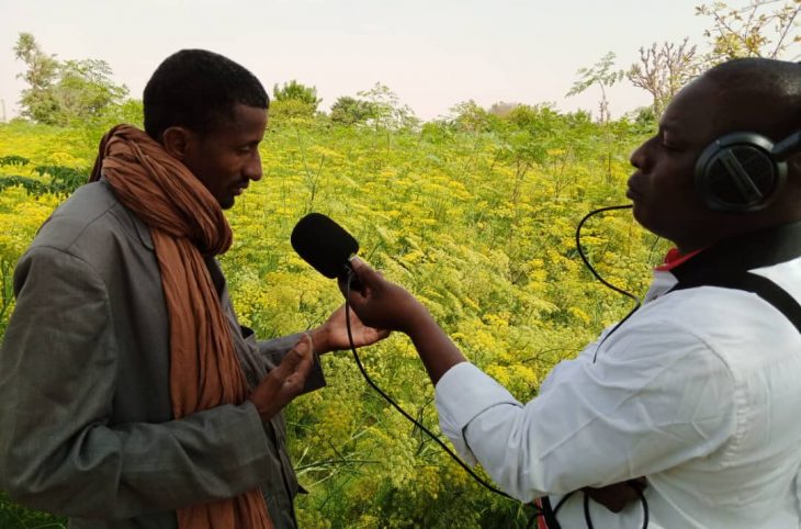 Découverte de l’aménagement hydro agricole de Djiratawa, région de Maradi