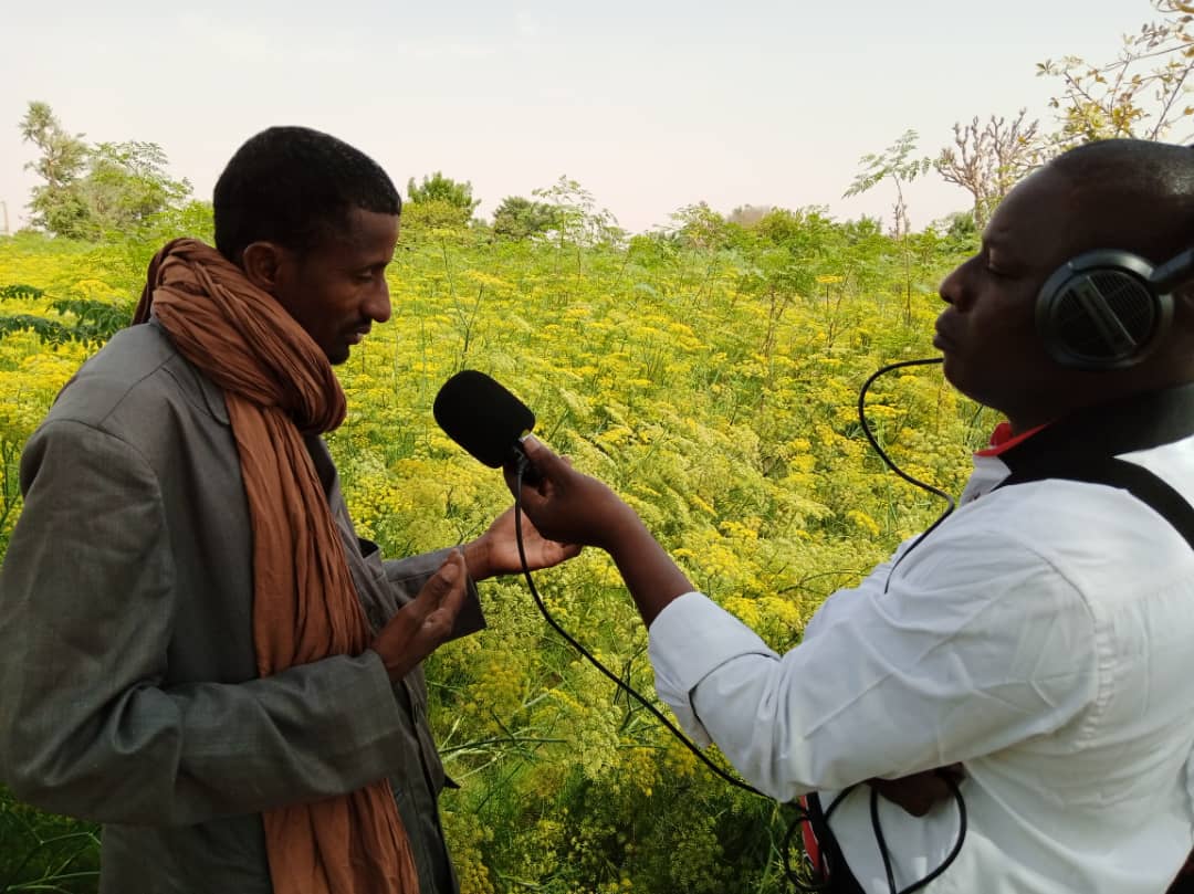 Découverte de l’aménagement hydro agricole de Djiratawa, région de Maradi