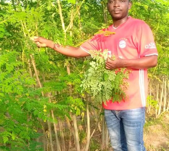 A la découverte de Saley Souleymane Zodi, jeune agronome de Maradi