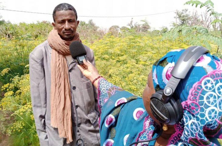 Développement de cultures irriguées à Maradi