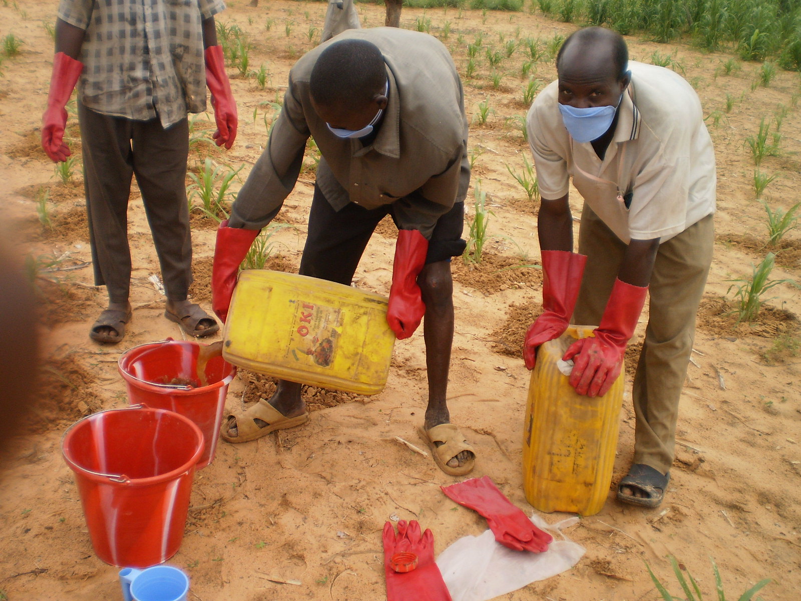 Dosso : sensibilisation des agriculteurs de Dogondoutchi sur la Covid-19