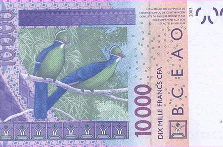 ECO : la monnaie entourée de mystère