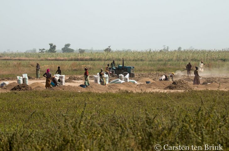Les effets du terrorisme et le changement climatique sur la sécurité alimentaire