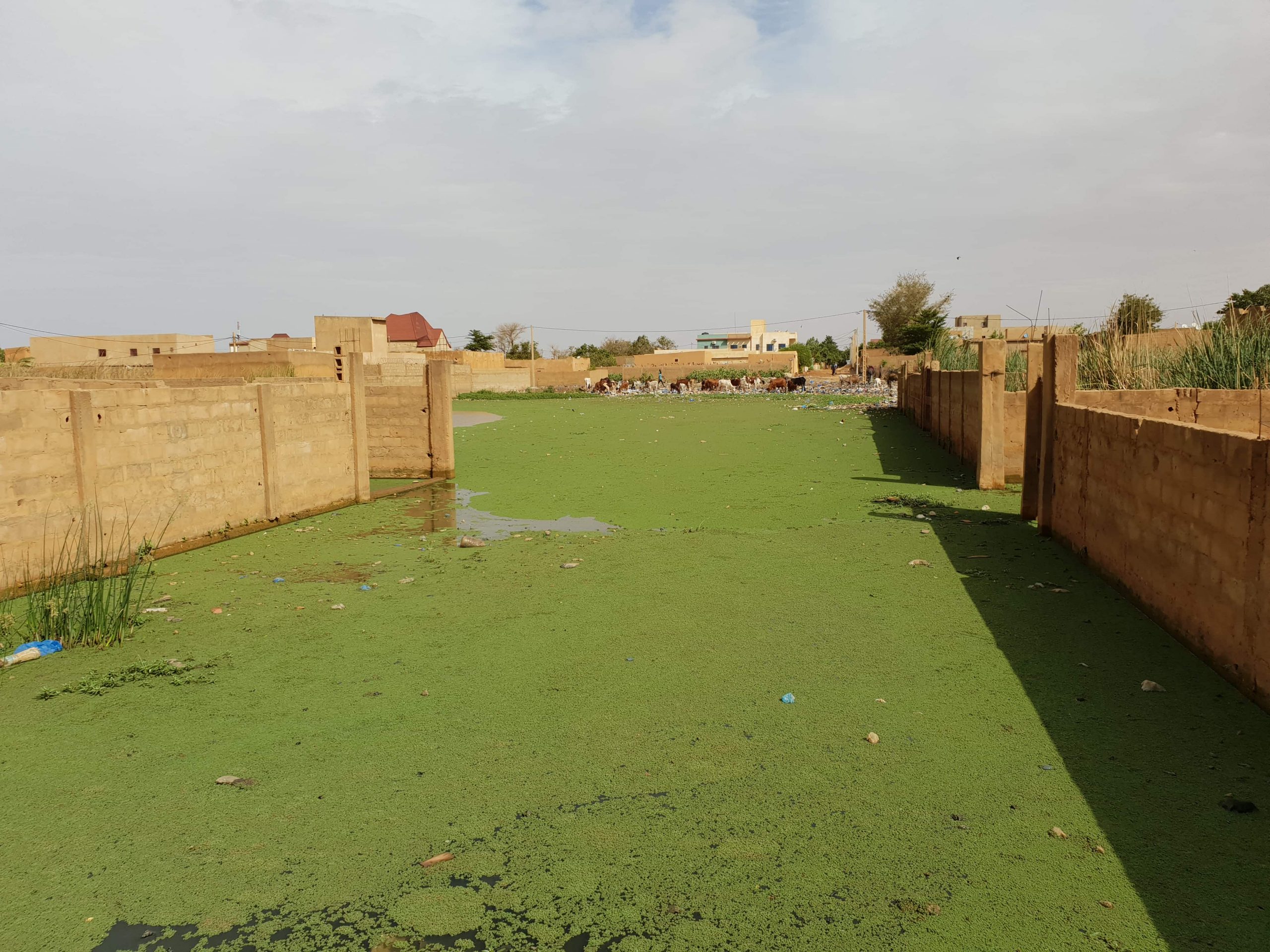 Des explications sur les quartiers de Niamey inondés toute l’année