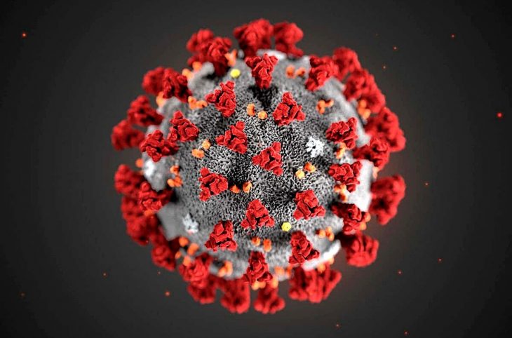 Non, la pandémie du coronavirus n'est pas un complot