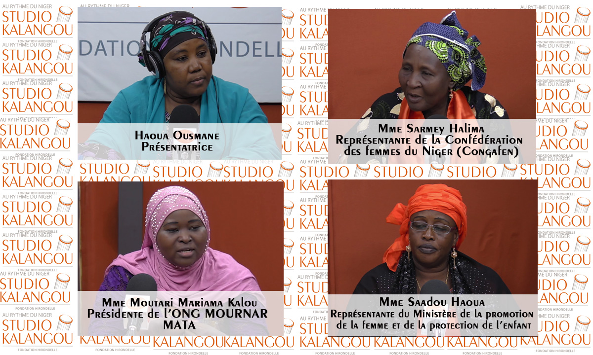 Les femmes dans les institutions démocratiques au Niger : Comment accroître leur représentativité aux postes de décision ?
