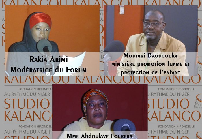 Les femmes nigériennes et les micro finances, Mata Masu Dubara (MMD)