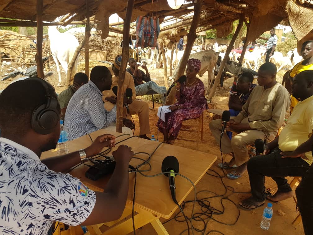 Fête de tabaski : Une aubaine pour les jeunes vendeurs de bétail de Touraku ?