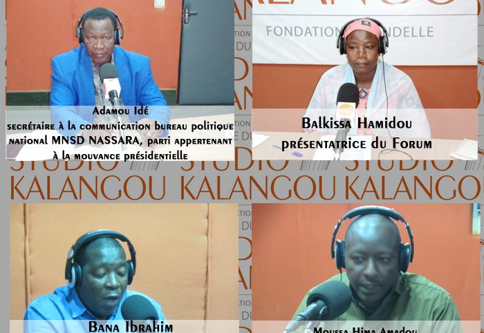 Financement des partis politiques au Niger : le respect des textes en vigueur