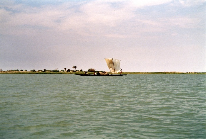 Niamey/ Crue précoce du fleuve Niger