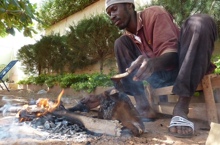 Tabaski à Niamey : 47 000 tonnes de bois brulées en une journée