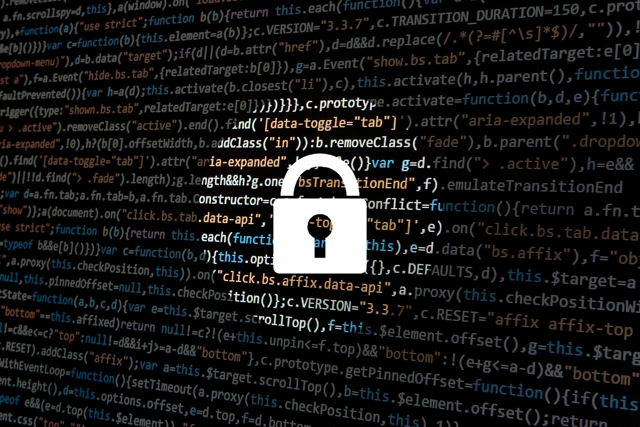 Le Niger adhère à la convention sur la cybercriminalité: définition et cas rencontrés
