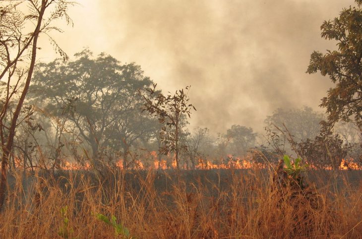 Le magazine du 22/11/2019 : L’harmattan augmente les risques d’incendies au Niger
