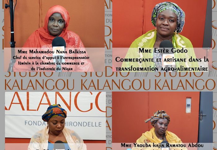 L’impact de la Covid-19 sur le commerce des femmes au Niger : ampleurs et solutions