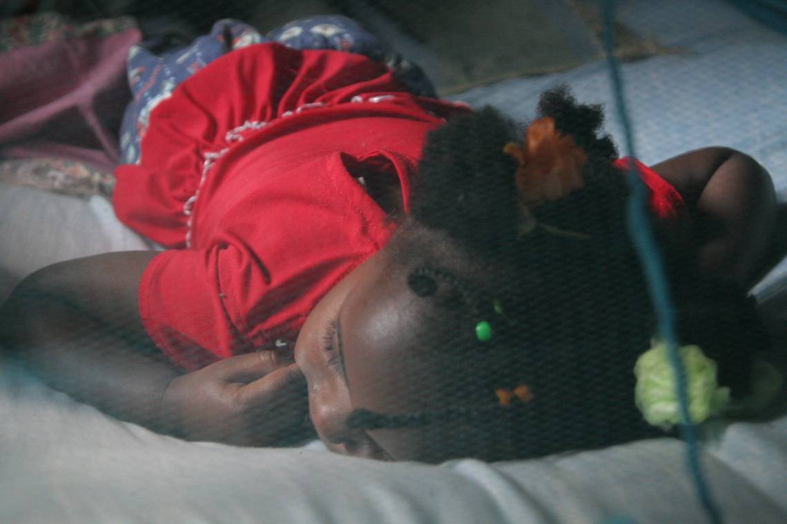 Quel impact de la pandémie de covid-19 sur le processus de lutte contre le paludisme au Niger ?