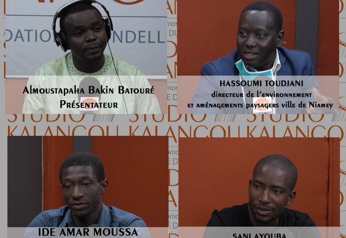 L’importance de la plantation et de l’entretien des arbres au Niger