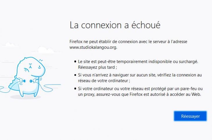Internet restreint au Niger : quel impact sur la société ?
