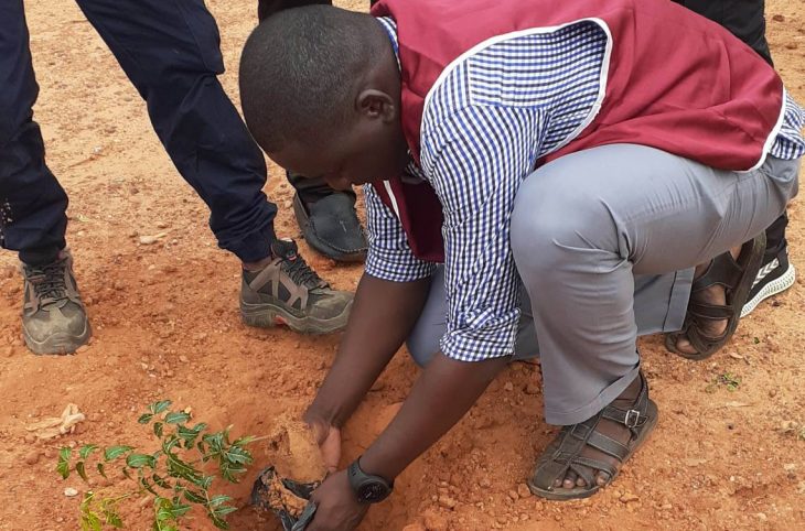 Les jeunes plantent des centaines d’arbres sur plusieurs sites à Niamey