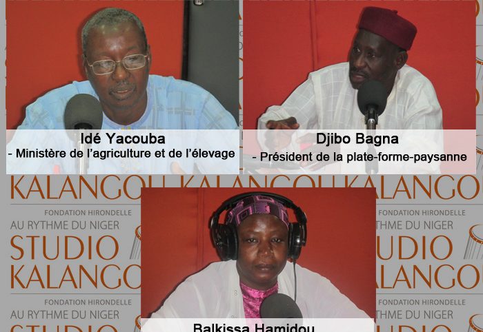 Le forum en zarma du 17/02/2019 - Résultats globaux définitifs de la campagne agro-sylvo-pastorale 2018 au Niger : analyse et recommandations