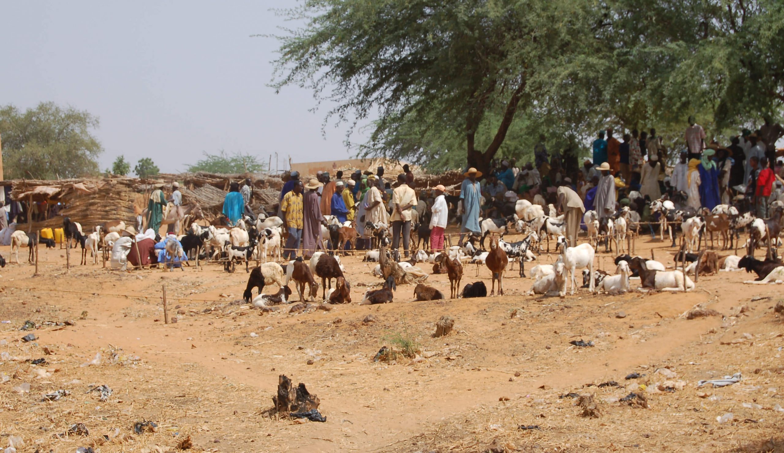 Le magazine du 08/05/2019 : Le chef du village de Kaara content du climat de paix dans sa juridiction