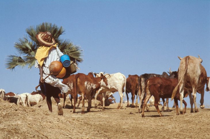 Le magazine du 10/05/2019 : Origine de l’installation des pasteurs peuls à Gaya