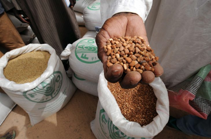 Le magazine du 21/05/2019: La  ferme semencière « Ambouta » et les semences améliorées à Dogondoutchi