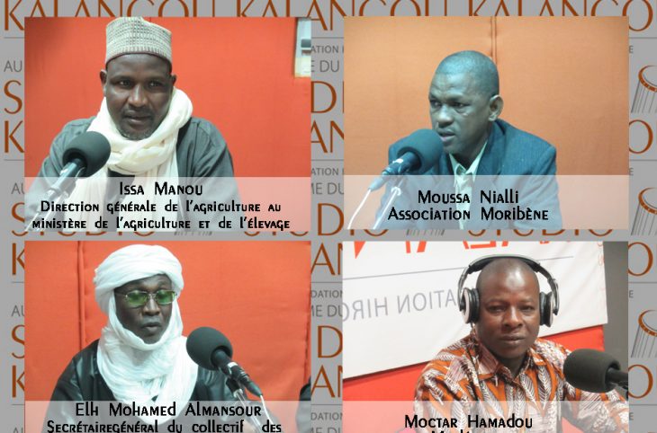 [Forum] «Campagne agricole déficitaire au Niger: causes, conséquences et solutions envisageables»