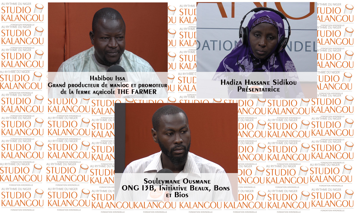 Lutte contre l’insécurité alimentaire au Niger : comment intégrer le manioc dans les pratiques agricoles et alimentaires des Nigériens ?