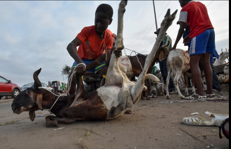 Magazines du 26 décembre 2017 : Les mauvaises conditions du transport de viande à Agadez