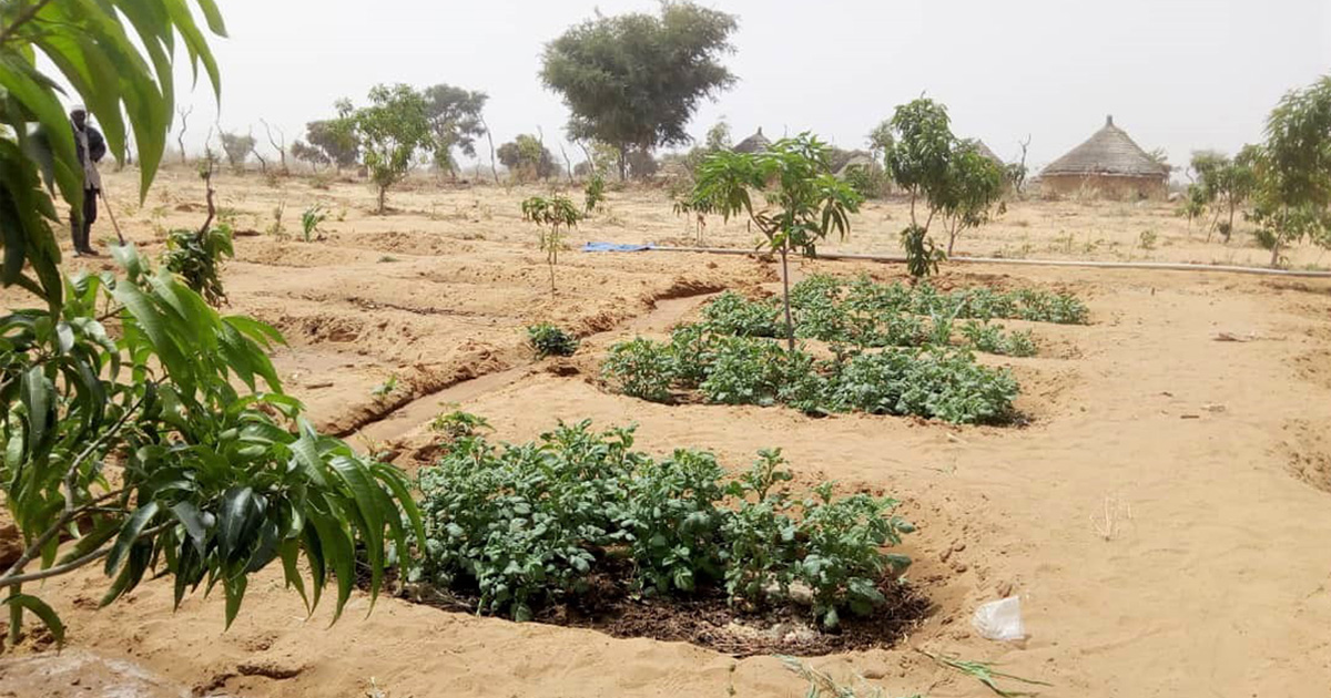 Le magazine du 21/03/2019 : Mieux vaut travailler la terre au Niger que d’aller en exode à l’étranger