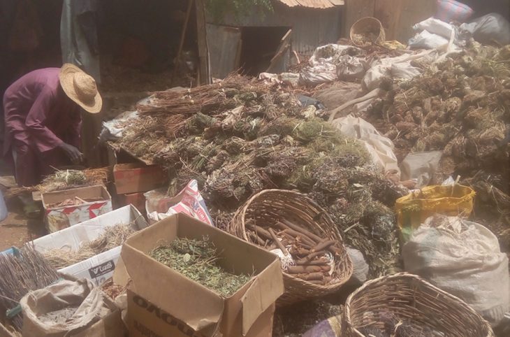 Le magazine du 05/04/2019 : Au Niger les guérisseurs traditionnels très sollicités