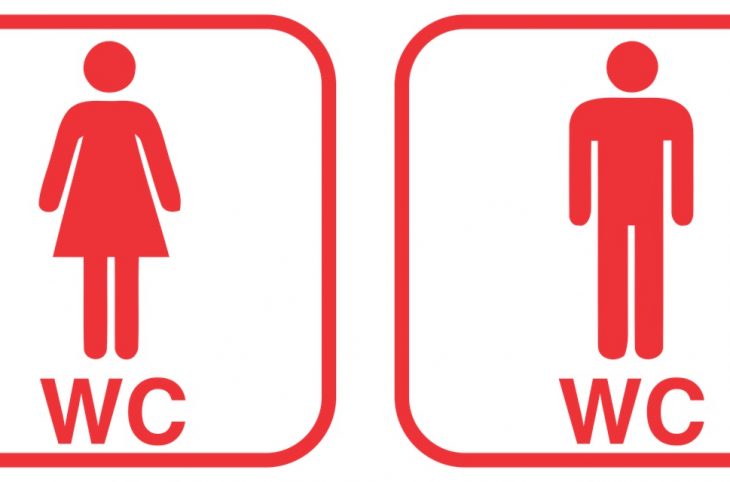 Le manque de toilettes dans certains établissements scolaires d’Agadez, un frein à l’éducation de la jeune fille