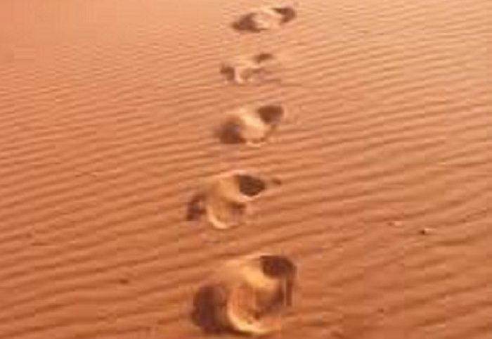 Niger / Le marcheur de la paix s’engage à nouveau