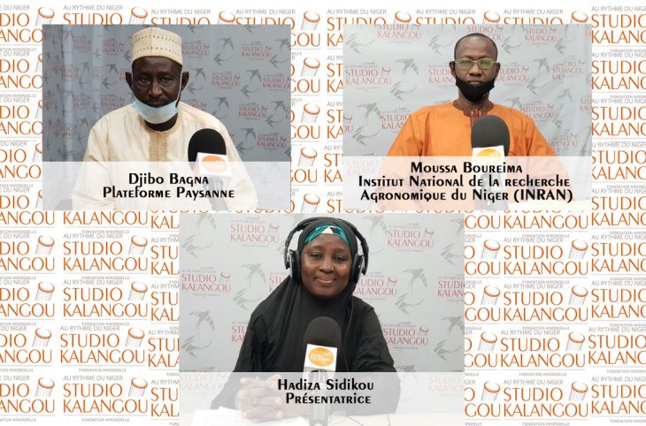 [Forum en zarma] Les mesures d’adaptation au changement climatique dans le domaine de l’agriculture