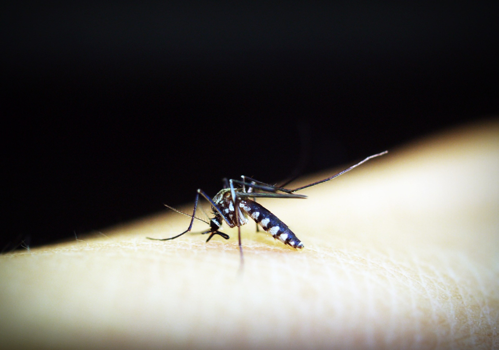 Maradi/ la chimio-prévention fait baisser le nombre de malades du paludisme