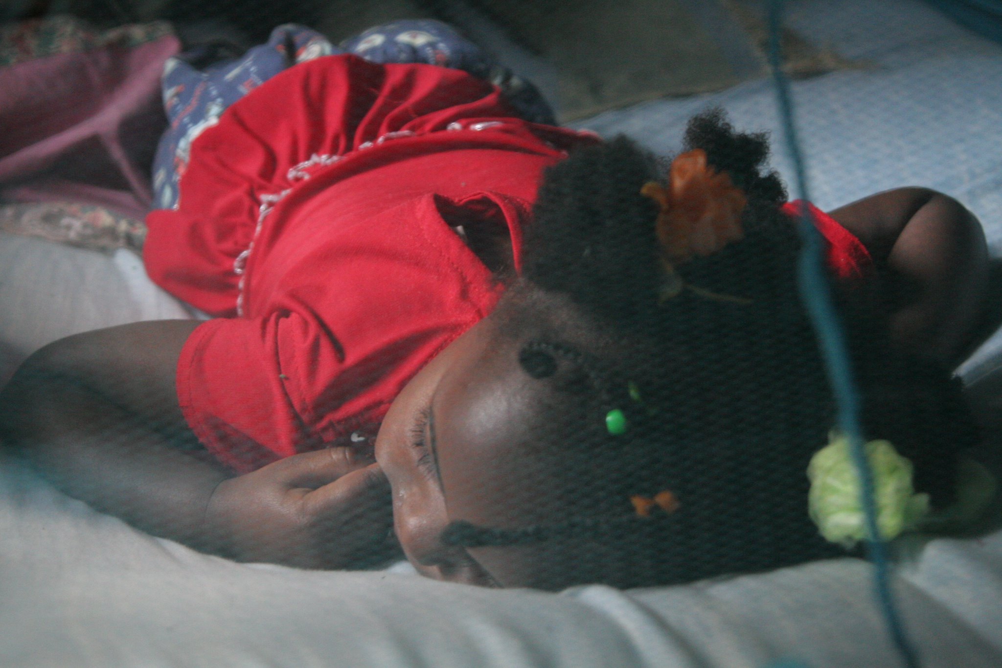 Les moustiquaires imprégnées comme moyen de lutte contre le paludisme