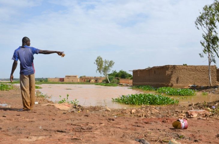 Niamey / À Losso Goungou, 60 femmes perdent 4,5 hectares de productions maraichères suite à la crue du fleuve Niger