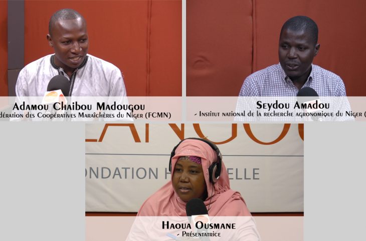 Promotion du compost au Niger : enjeux et défis