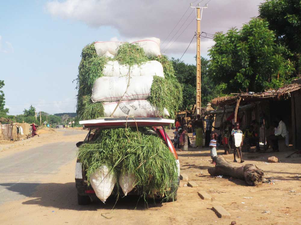 Magazine 10/03/2018 : la gestion de la paille toujours problématique au Niger