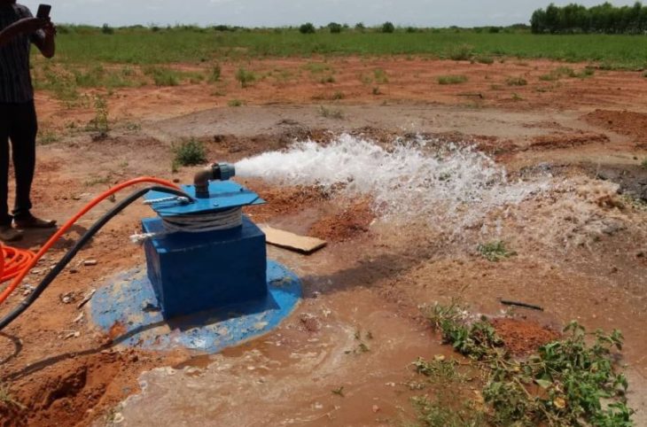 AGADEZ/ La baisse de la nappe phréatique impacte la production maraîchère