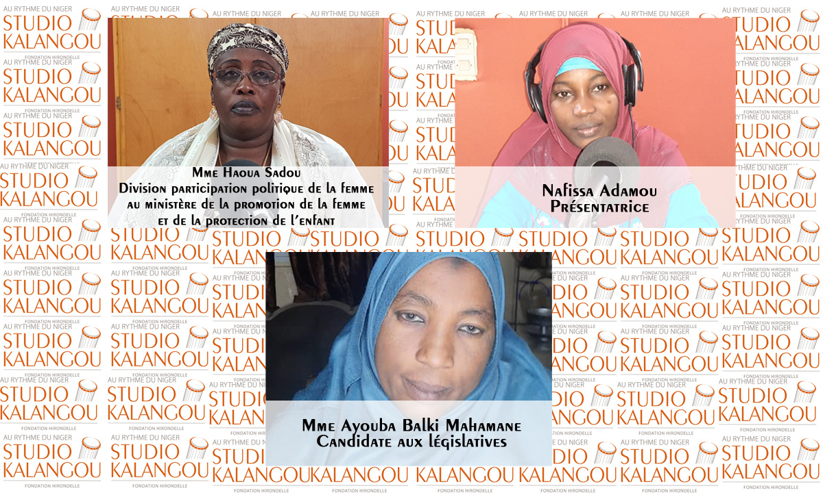 La présence des femmes en politique au Niger