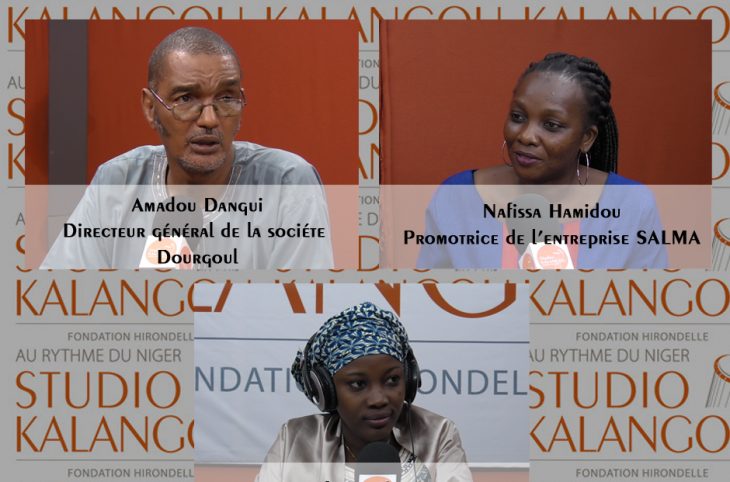 Production des aliments pour bétails au Niger : quels enjeux ?