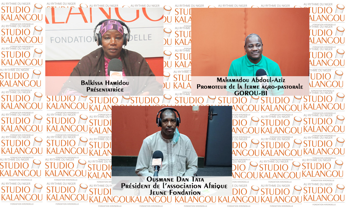 Production et commercialisation du moringa au Niger : enjeux, défis et opportunités