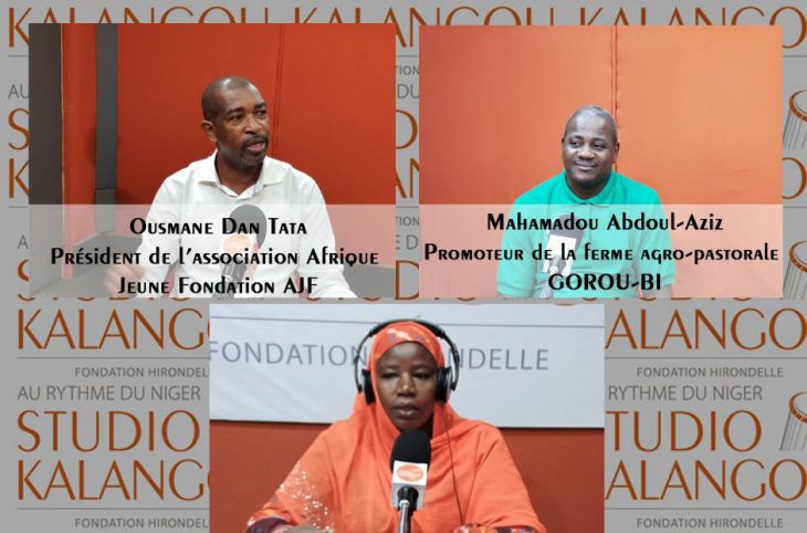 Production et commercialisation du moringa au Niger : enjeux, défis et opportunités