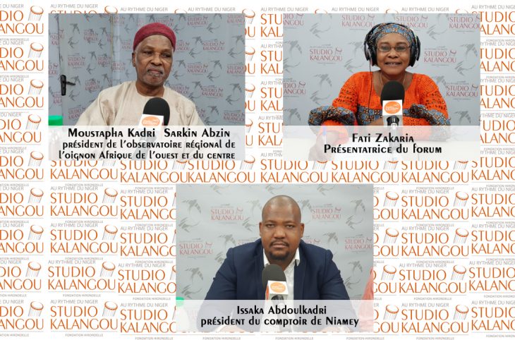 La production et la commercialisation de l’oignon au Niger : défis et perspectives